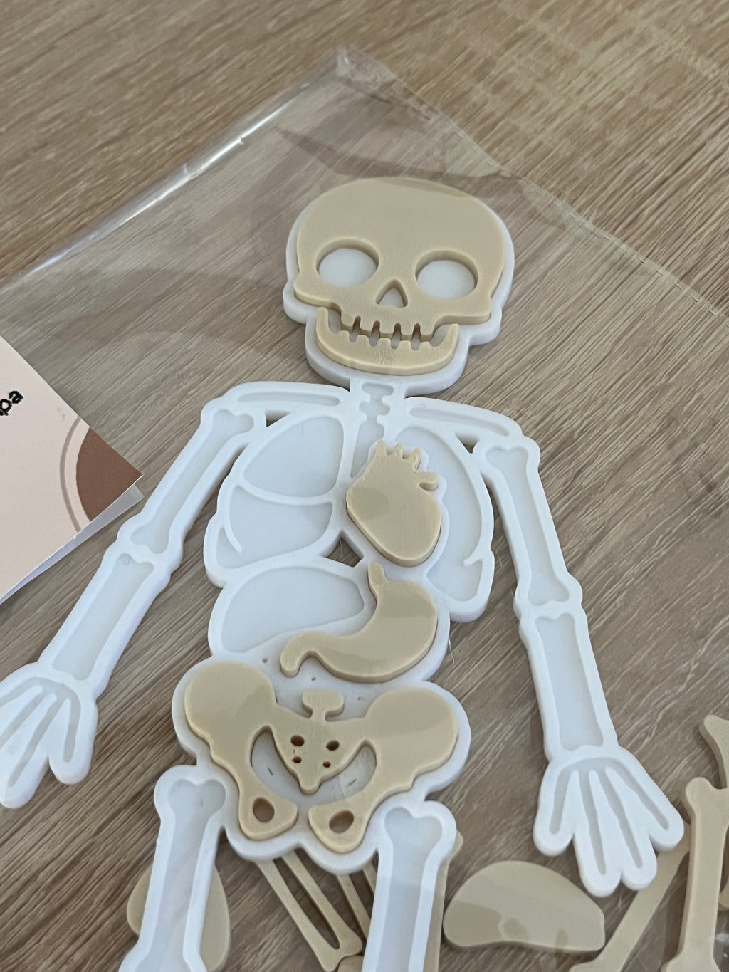 Scheletro Anatomico in Stampa 3D – Gioco Educativo e Decorativo in PLA