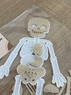 Scheletro Anatomico in Stampa 3D – Gioco Educativo e Decorativo in PLA