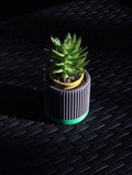Vaso Portapiante di Design Minimal a Coste – Grigio Antracite e Verde